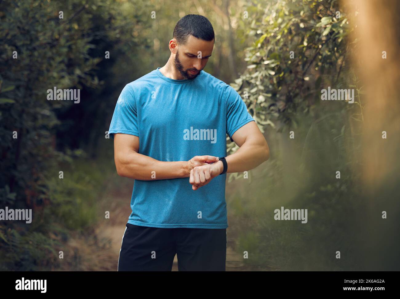 Smartwatch, fitness and forest man check workout results or digital training progress for outdoor wellness lifestyle. Sports or athlete runner person Stock Photo