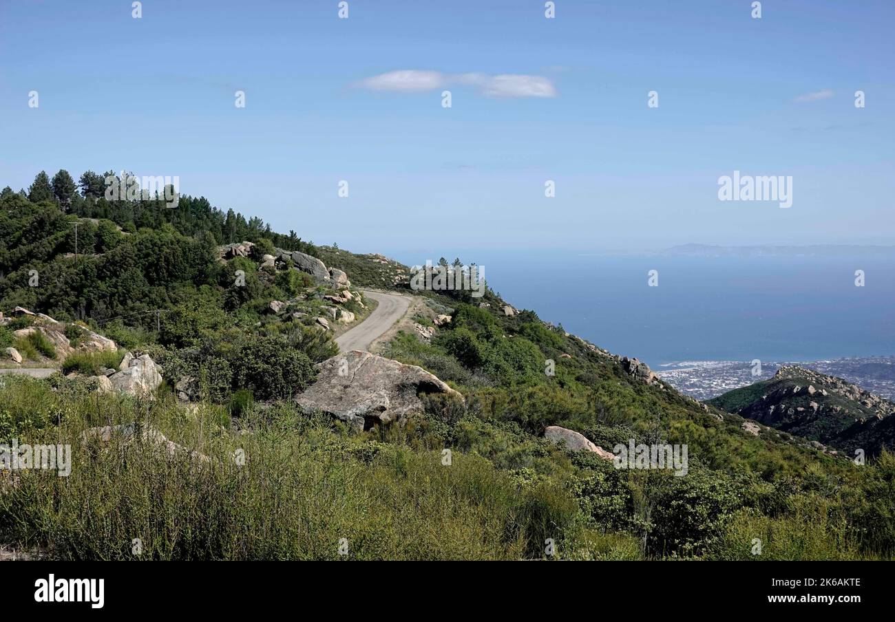 An aerial view of road surrounded by dense trees and bushes Stock Photo ...