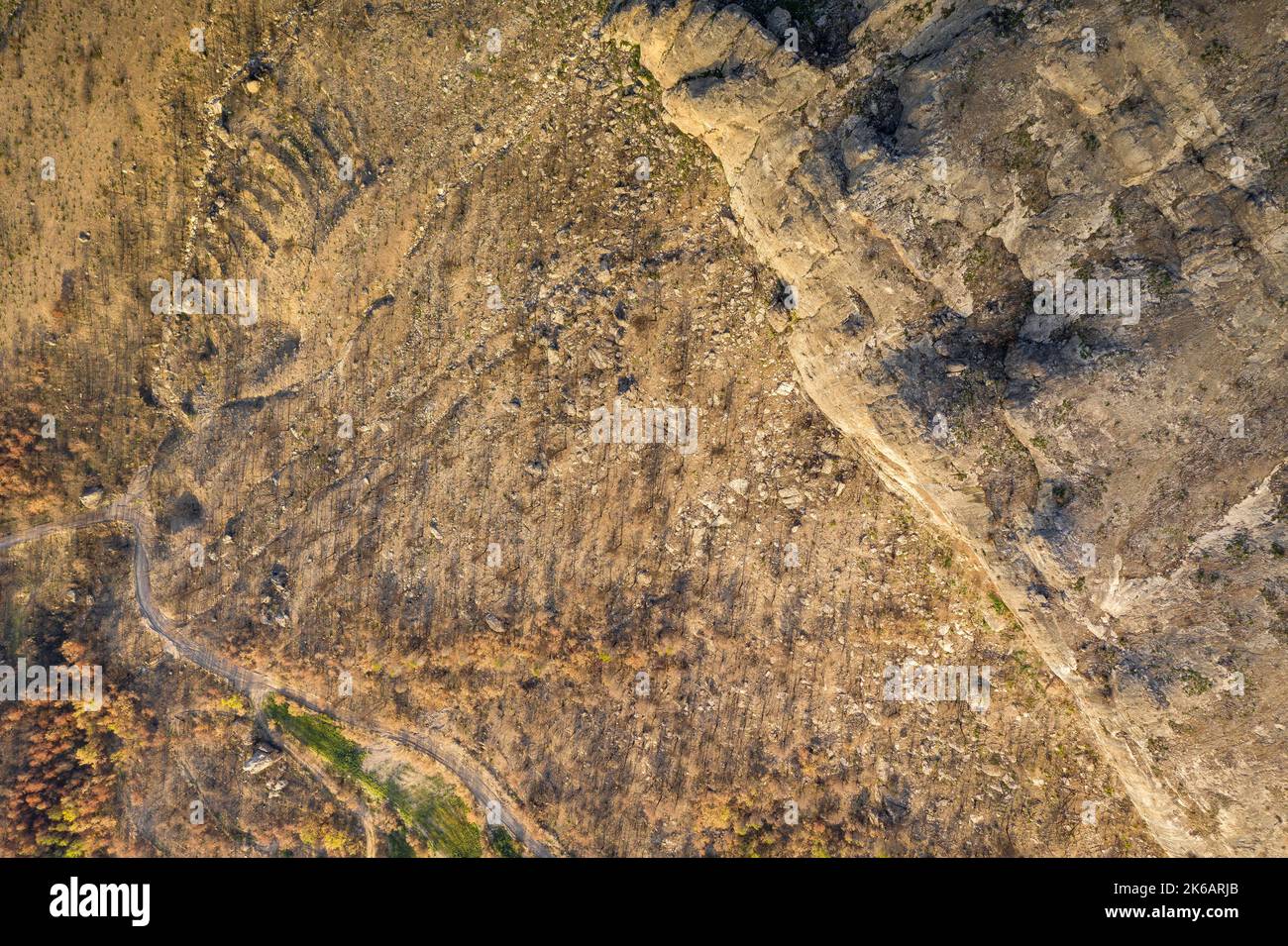 Aerial view of the forest burned in the Oliana - Peramola fire of 2022, under the Roc de Rombau (Alt Urgell, Catalonia, Spain, Pyrenees) Stock Photo