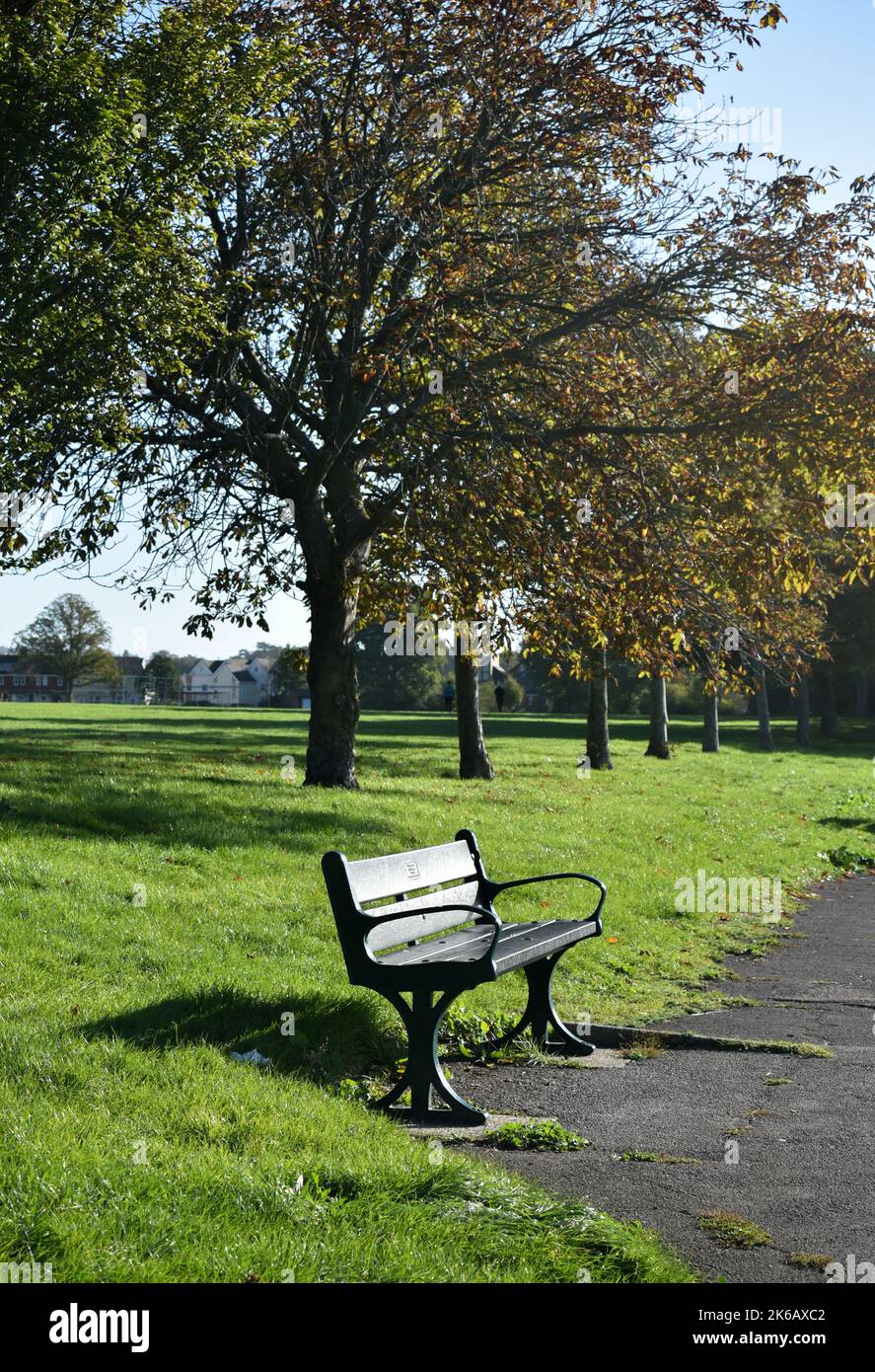 Public park in England with autumnal trees and an empty bench on a cool October day. Stock Photo