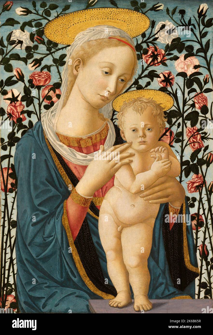 Fra Filippo Lippi  Also known as Lippo Lippi, was an Italian painter of the 15th century -  - Madonna and Child, c. 1470 Stock Photo