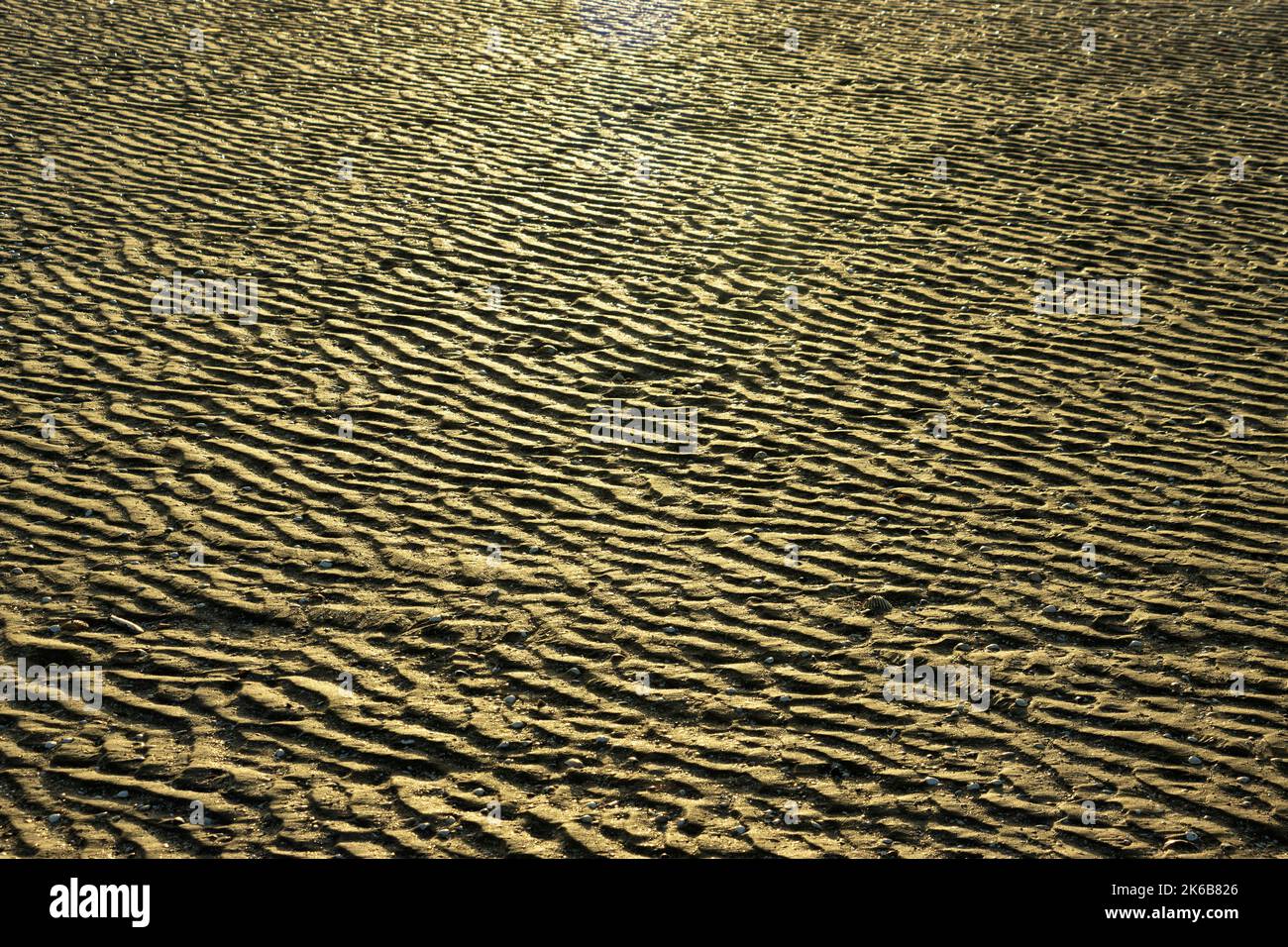 Ripples in the sand caused bythe receeding tide leaves a landscape of miniature sand dunes. These ripples in the sand are remoulded twice a day by tid Stock Photo