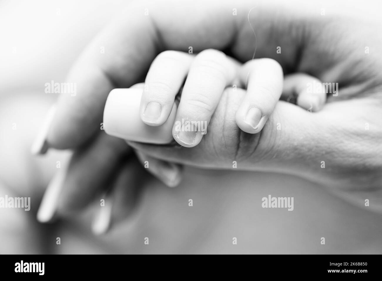 Close-up of a baby's hand with tiny fingers and arm of mother. Newborn baby holding the finger of parents after birth.  Stock Photo