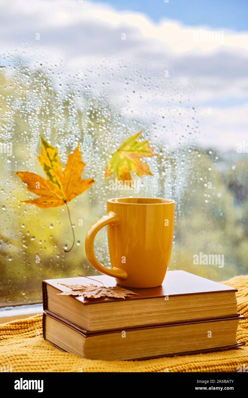 cup of tea, books, autumn leaves and candle on window sill at home ...