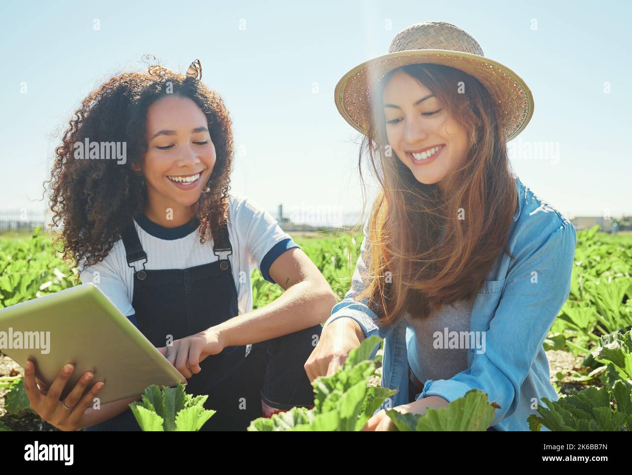 Keeping track of the best growth methods. two female farmers checking ...