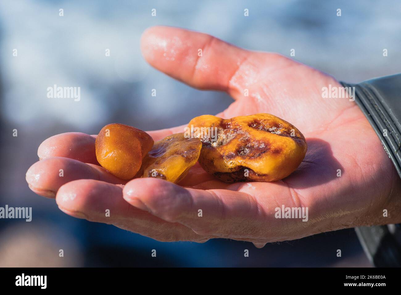 Rare pieces hi-res stock photography and images - Alamy