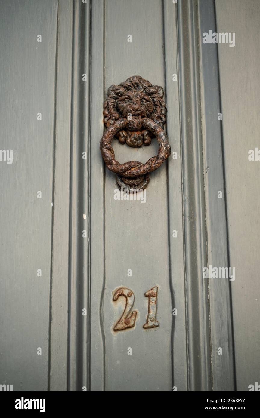 Old Moss Sage Green Wooden Door with Number 21 and Lion Knocker Detail ...