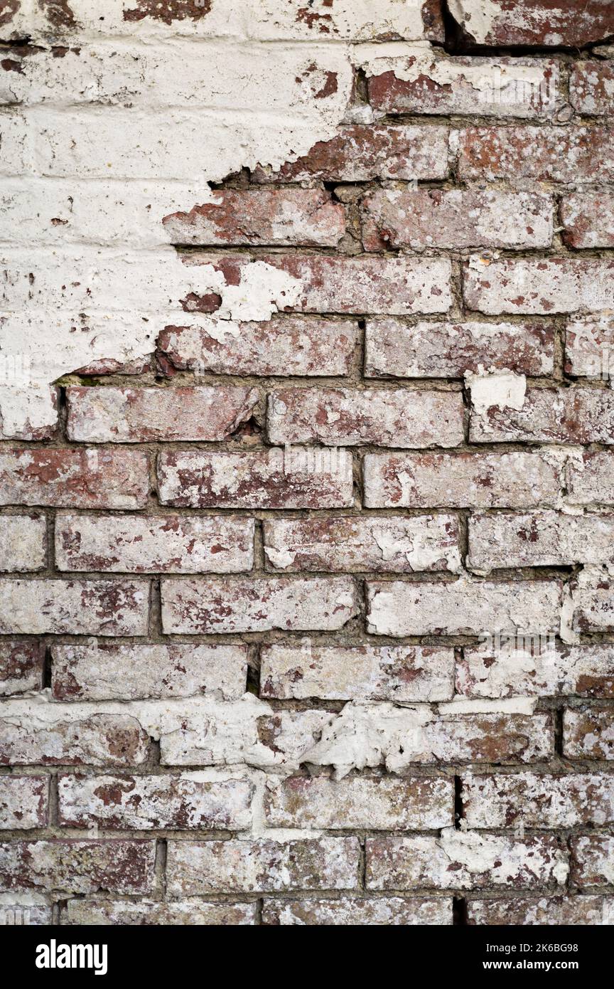 Old Brick Wall with Peeling Flaking Paint Stock Photo Alamy