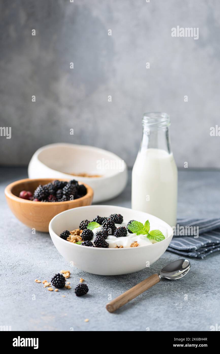 Healthy breakfast oatmeal granola bowl with yogurt and blackberries on concrete background with copy space for text or design Stock Photo