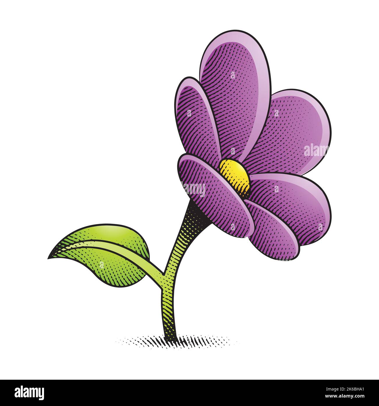 Illustration of Scratchboard Engraved Daisy Flower with Yellow and Purple Fill isolated on a White Background Stock Vector