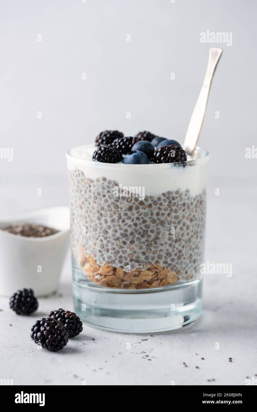 Vegan chia pudding with berries, yogurt and granola layer. Healthy food for fitness, clean eating diet Stock Photo