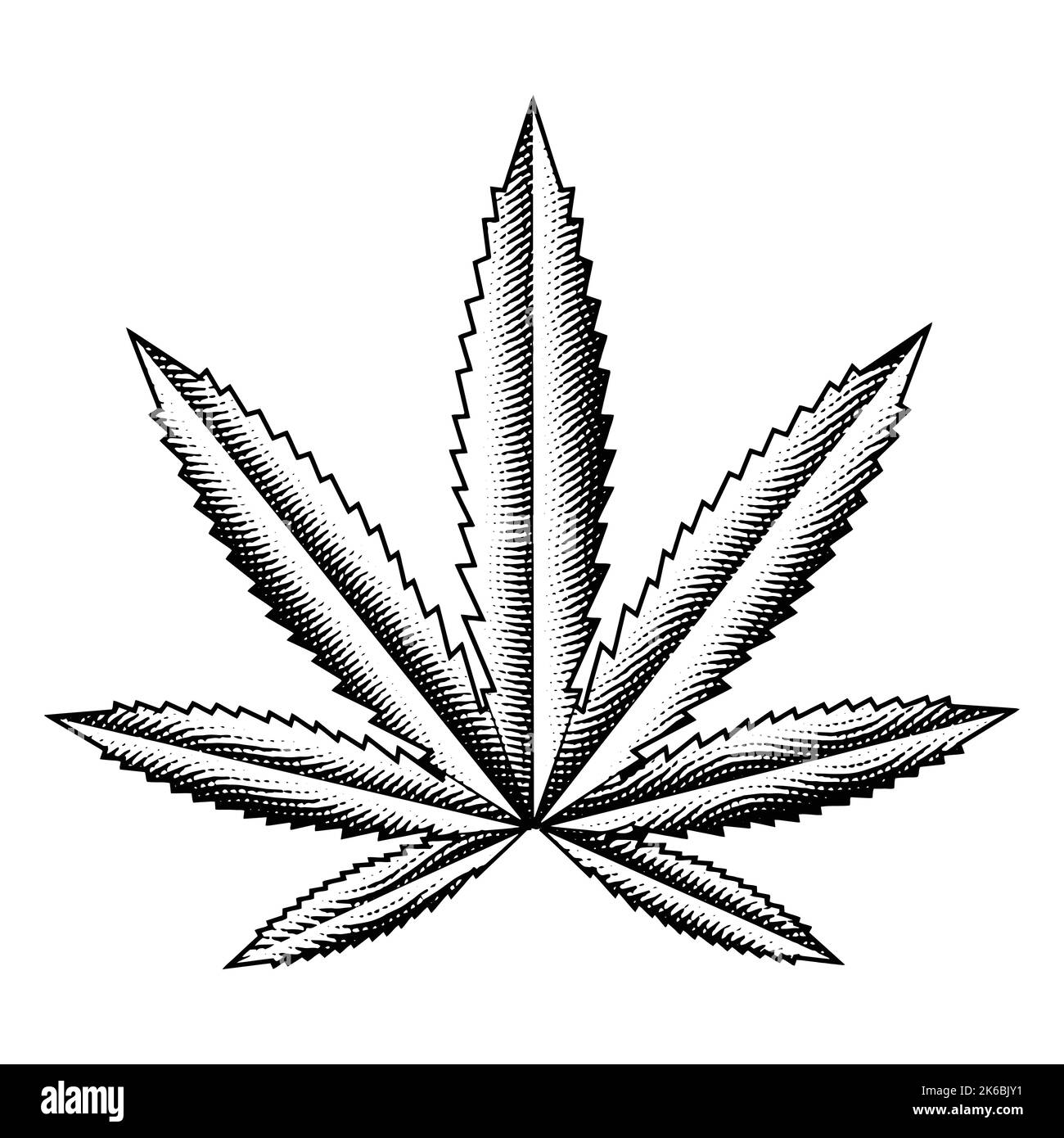Illustration of Scratchboard Engraved Cannabis Leaf isolated on a White Background Stock Vector