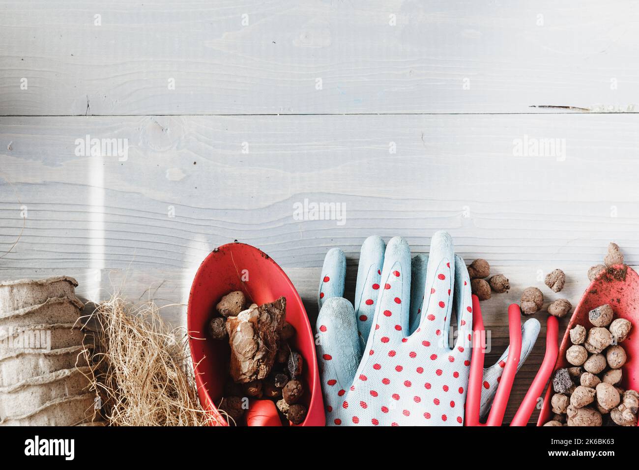 Collection of various house plants, gardening gloves, potting soil and