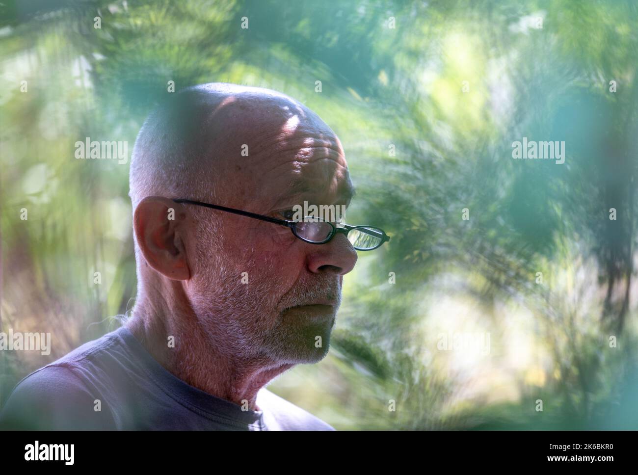 Portrait of senior bald man with gray beard and reading glasses in nature Stock Photo