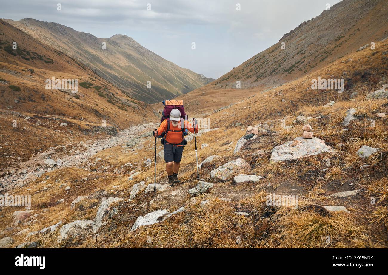 Portrait of old bearded man hiker tourist with big backpack and trekking poles walking against the mountain valley. Outdoor and trekking concept. Stock Photo