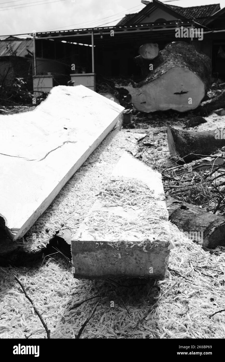 Monochrome photo, debris of trunk and twigs from a felled tree, Cikancung - Indonesia Stock Photo