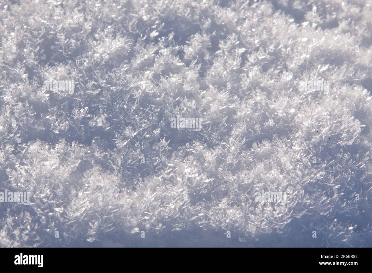 Close-up view of hoarfrost crystals after several days of freezing fog a Marlboro Point naer Moab, Utah. Stock Photo