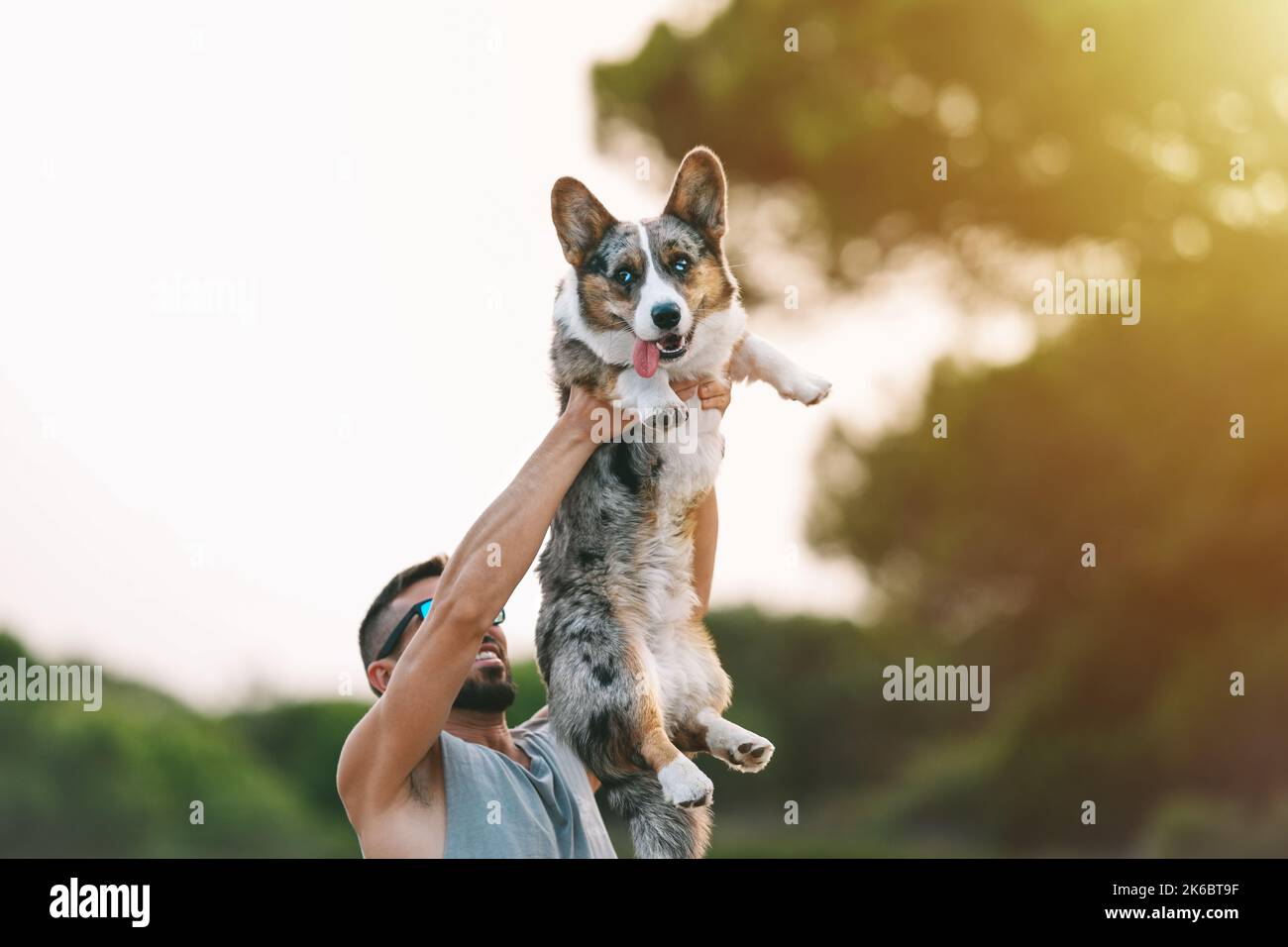 Young man holding in arms happy blue merle cardigan welsh corgi outdoor at sunset. Dog and owner Stock Photo