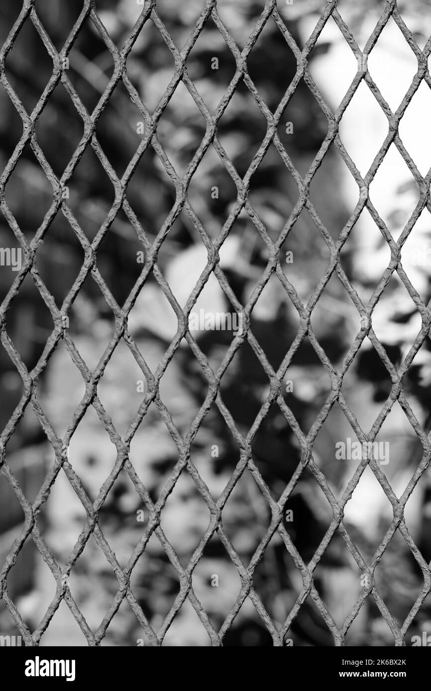 Typical industrial metal mesh grid grate surrounding the garden in a