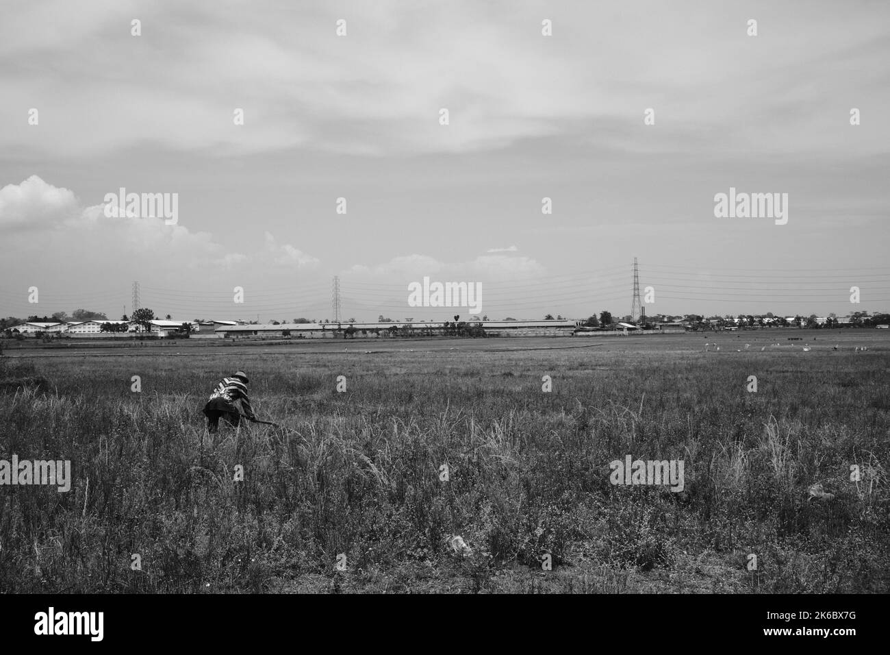 Monochrome photo, A man is hoeing a large meadow in the Cikancung area Stock Photo