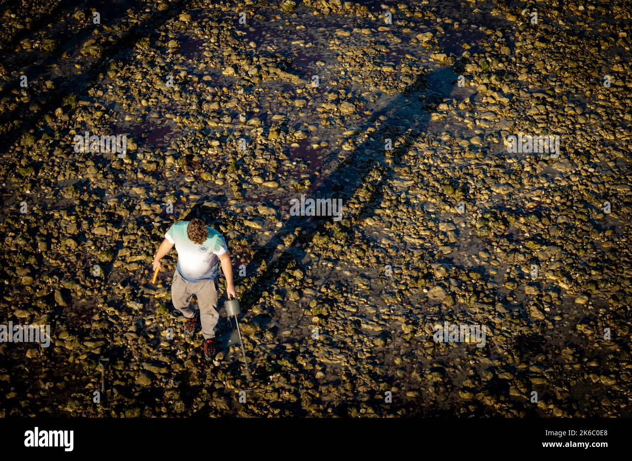 A male metal detectorist searches for long lost items in the late afternoon at low tide on Worthing beach, West Sussex, UK. Stock Photo