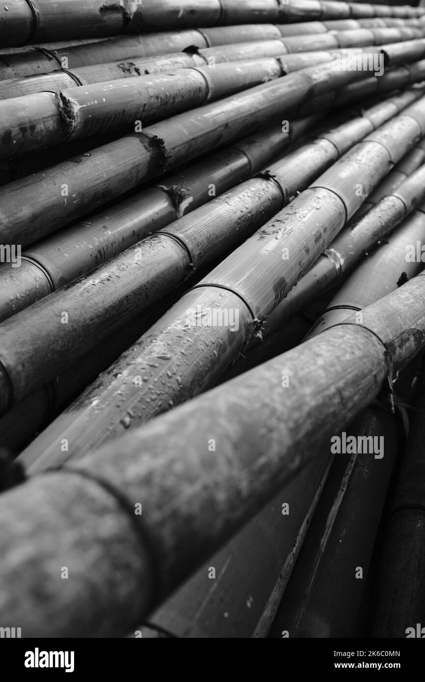 Monochrome photo, piles of bamboo for sale on the roadside in the Cikancung area - Indonesia Stock Photo
