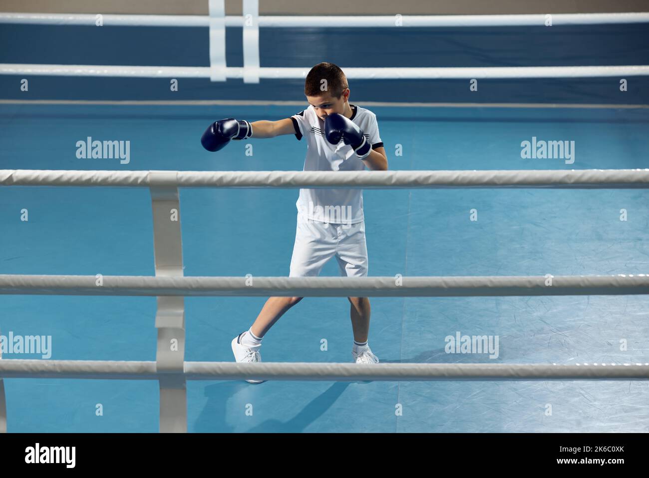 School age boy, beginner boxer in sport uniform and gloves during