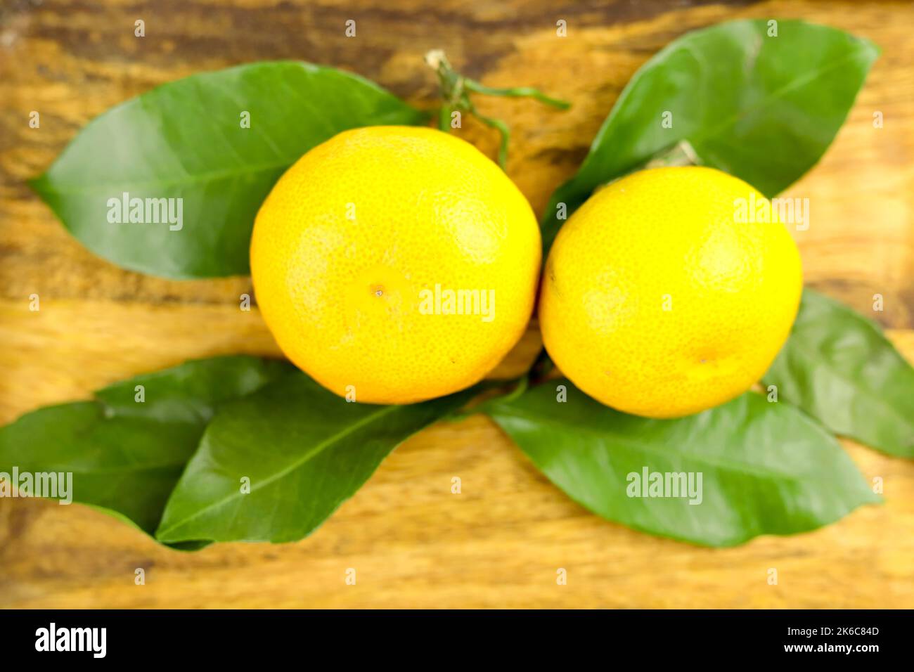 Yellow whole mandarins or tangerine fruits on green leaves on wooden background. Close-up. Stock Photo