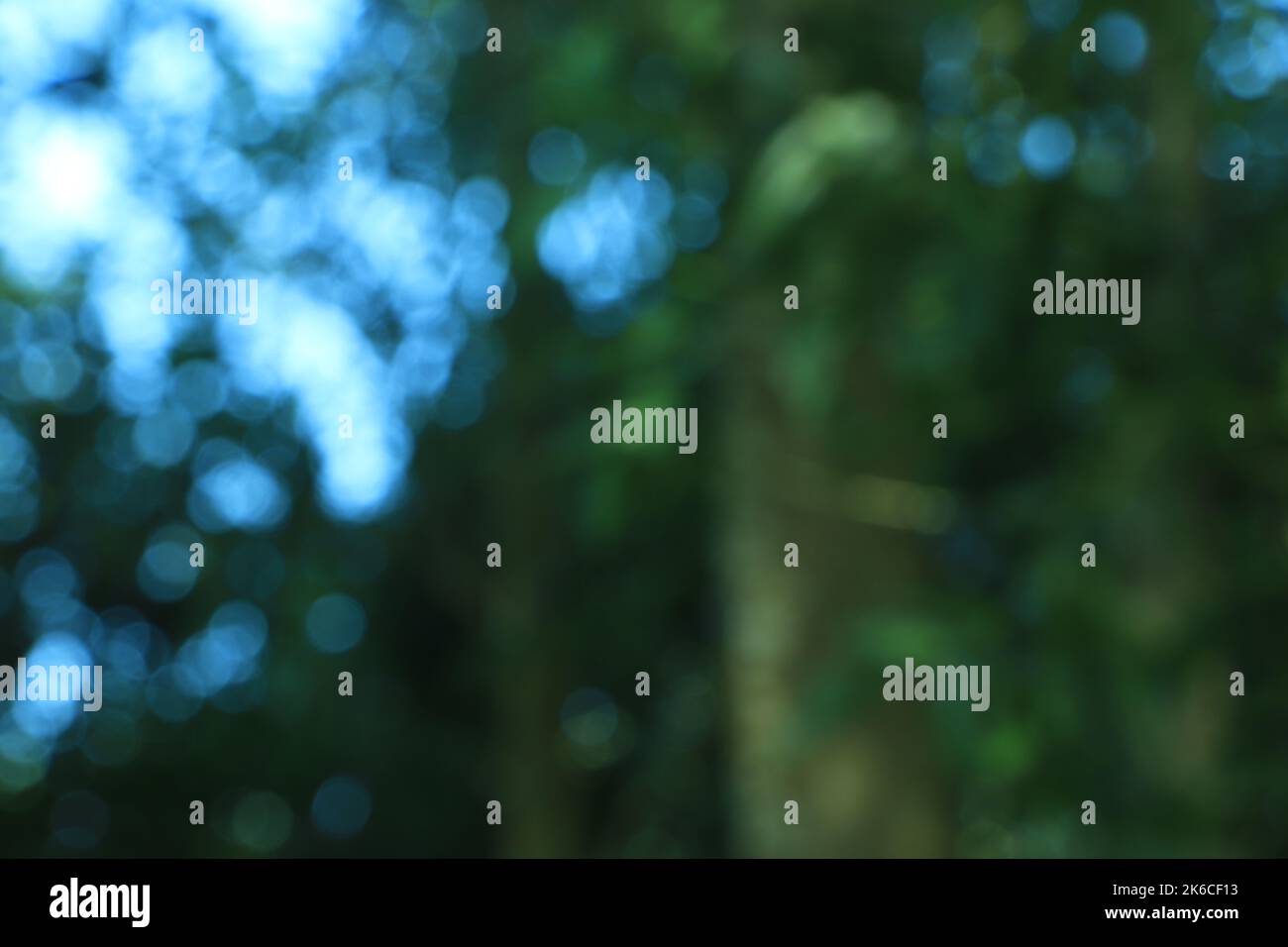 blue and green abstract light nature background Stock Photo