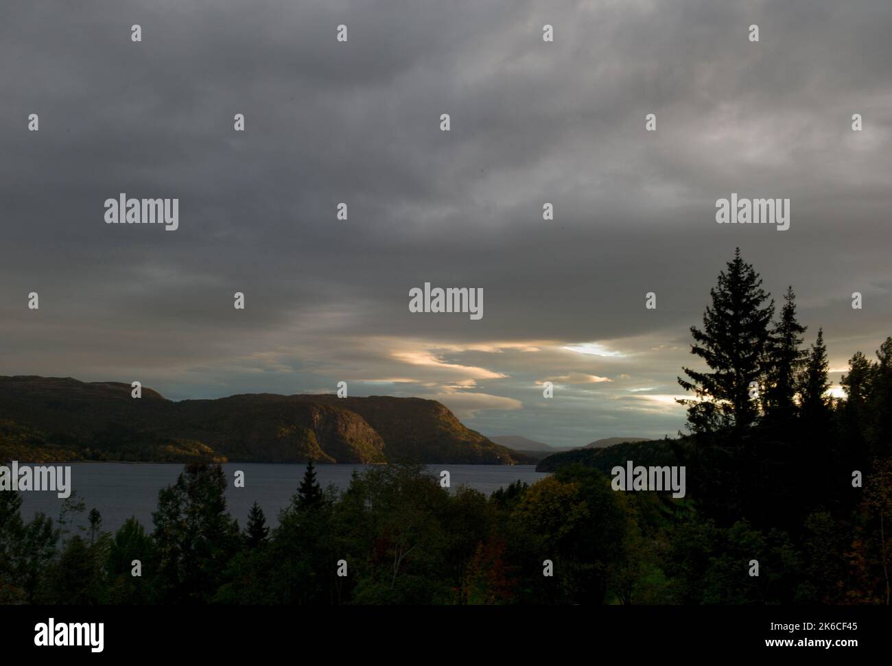 Sunset in Norway with fjord and pine trees Stock Photo - Alamy