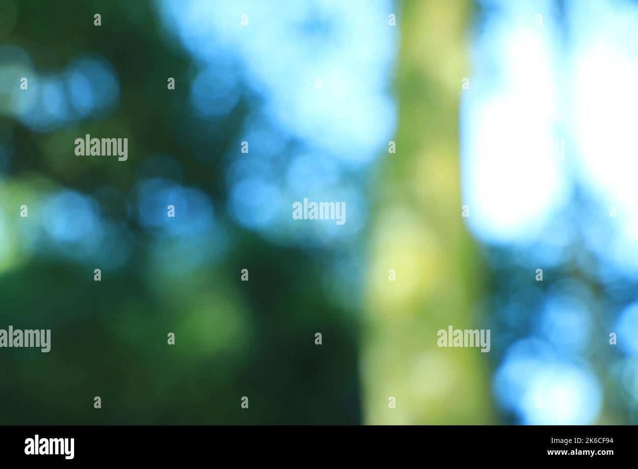 Natural blurred green background hi-res stock photography and images ...
