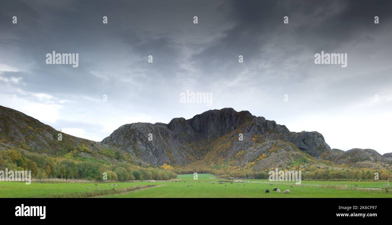 Scenes of Jøa, an island in the municipality of Namsos, Norway Stock Photo