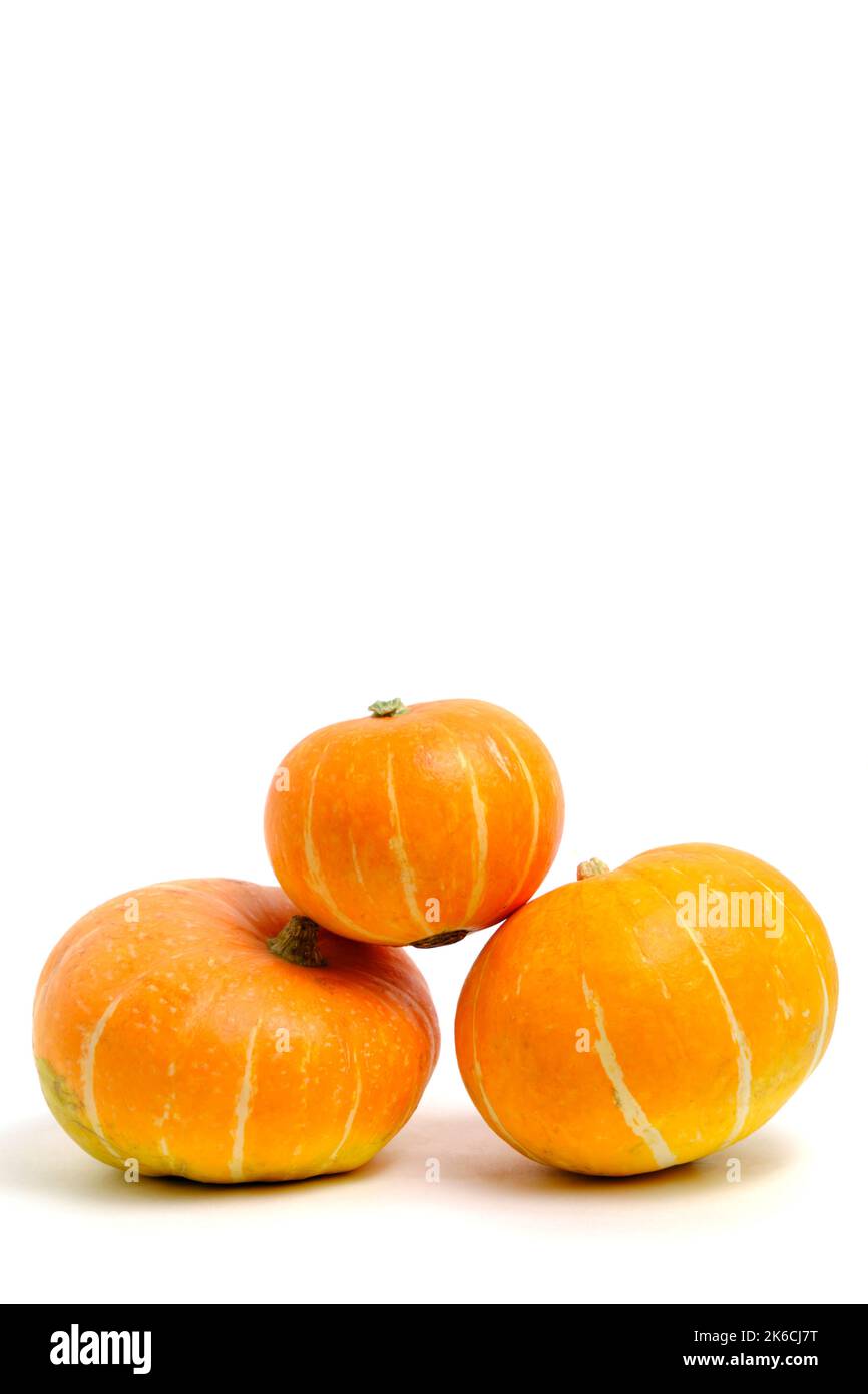 Three pumpkins white background, isolate Stock Photo