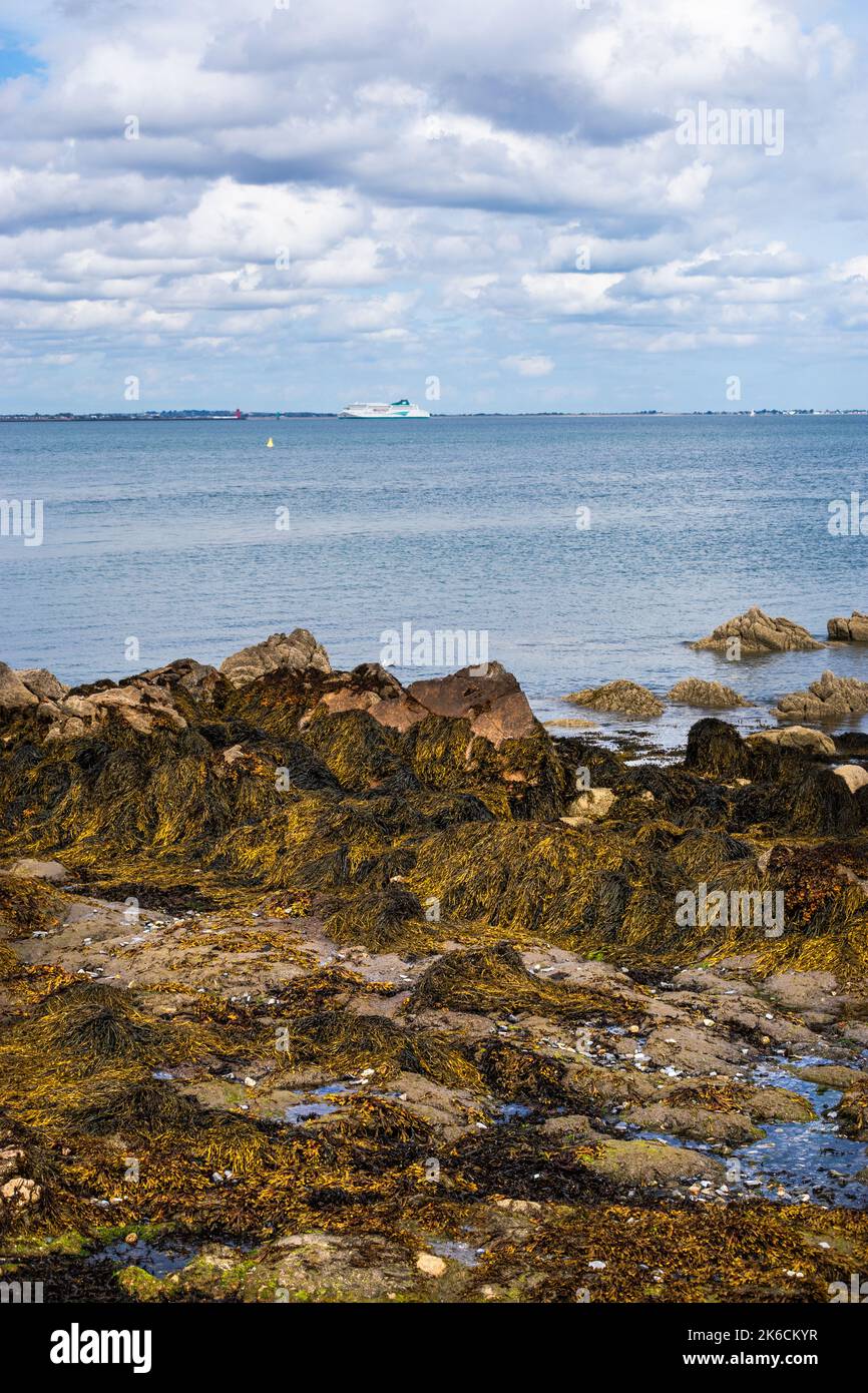 Seashore and sea in Dublin bay near Monks town and Salthill Ireland Stock Photo