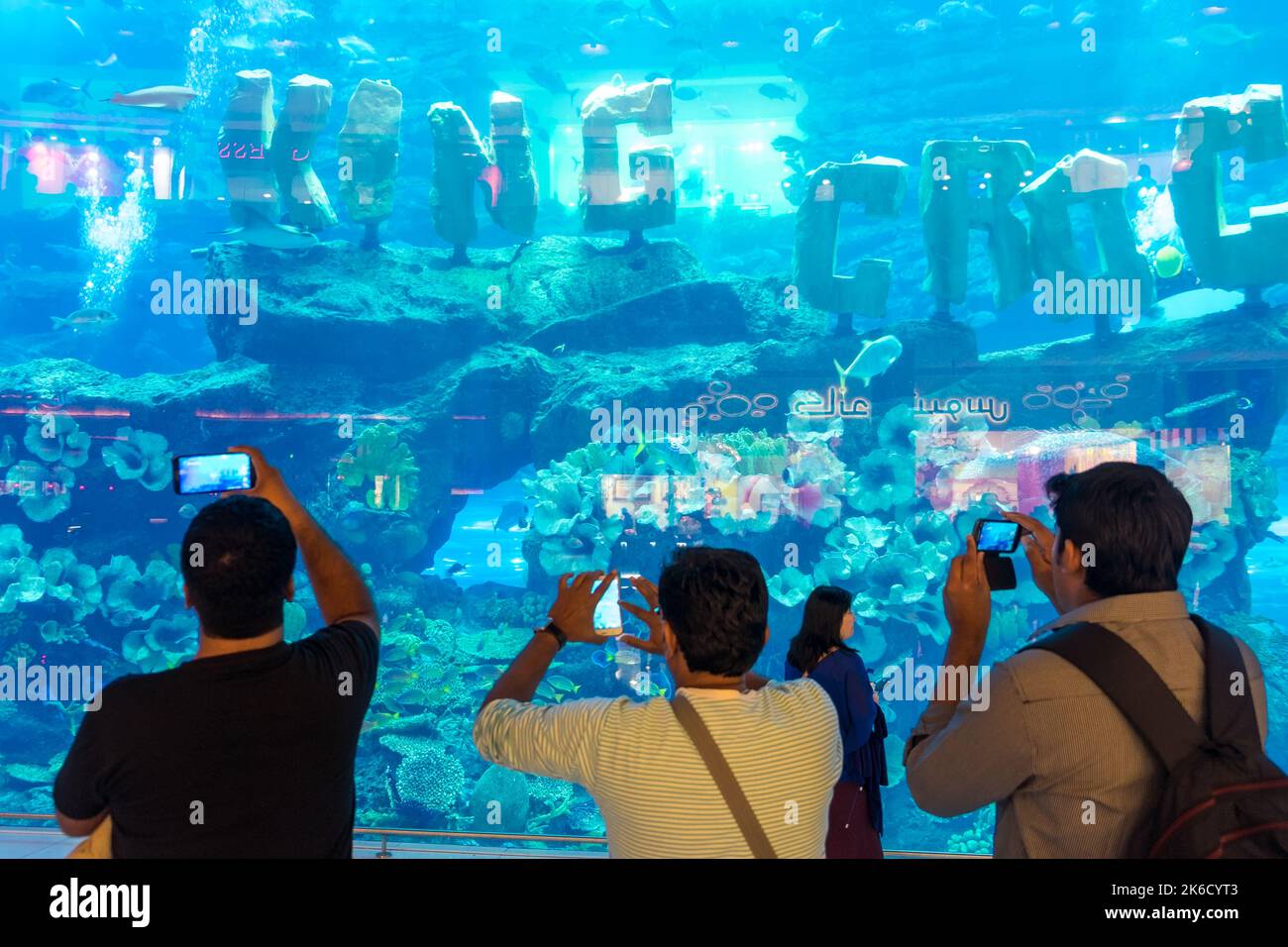 Taking pictures on mobile phone, Dubai Aquarium, part of Dubai Mall, Downtown Dubai, Dubai, United Arab Emirates, UAE Stock Photo