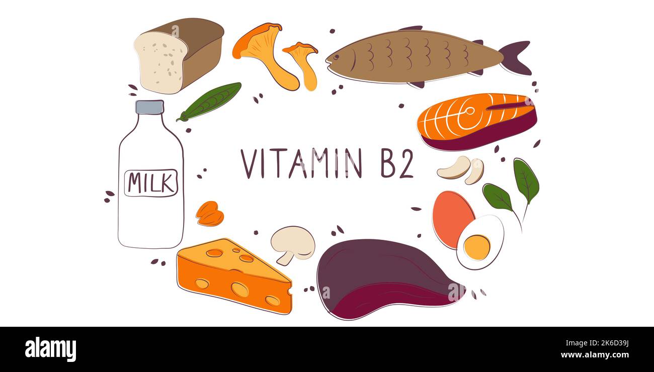 Vitamin B2 riboflavin. Groups of healthy products containing vitamins