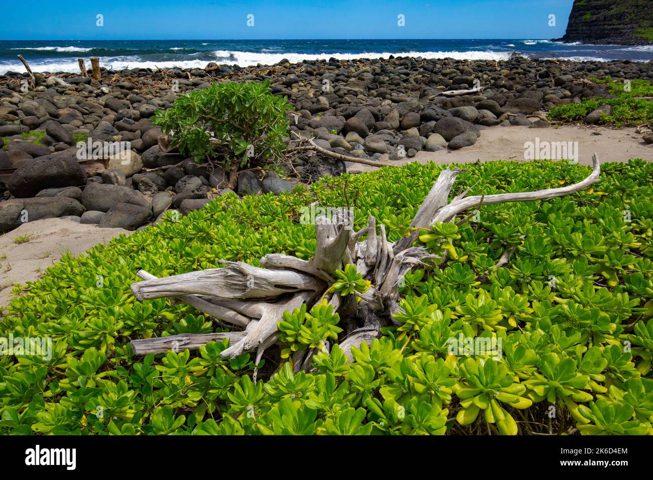 Hamakua coast, Waipio Valley, this "Valley of the Kings" has long been