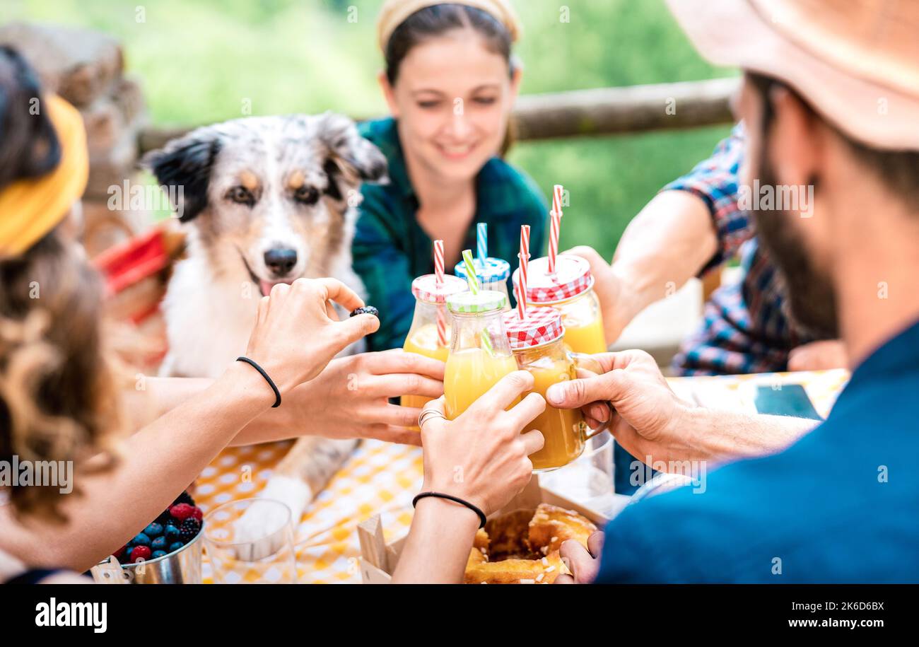Happy friends toasting healthy orange fruit juice at countryside picnic Friendship concept