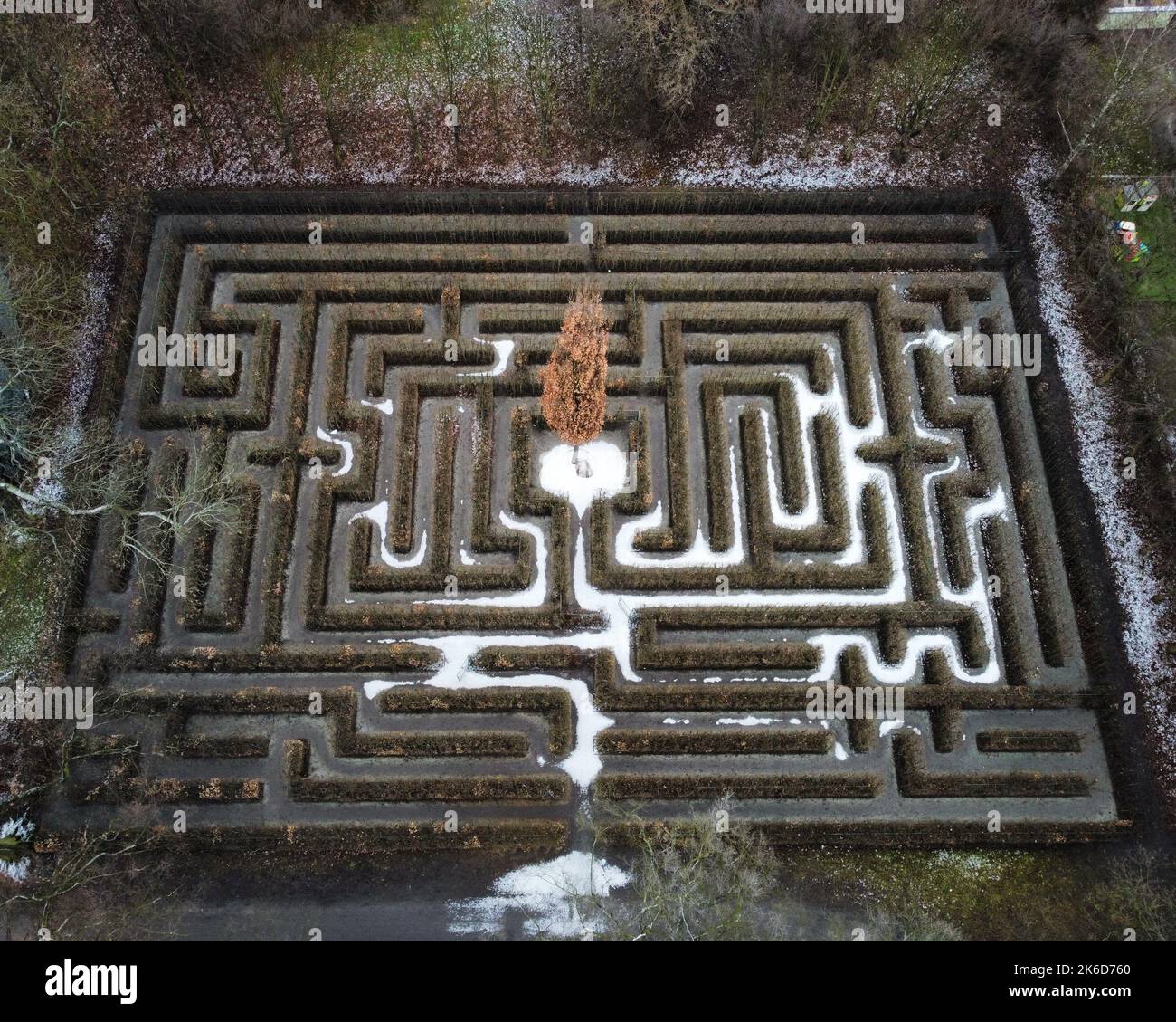 An aerial view of a labyrinth made from green bushes in a garden Stock