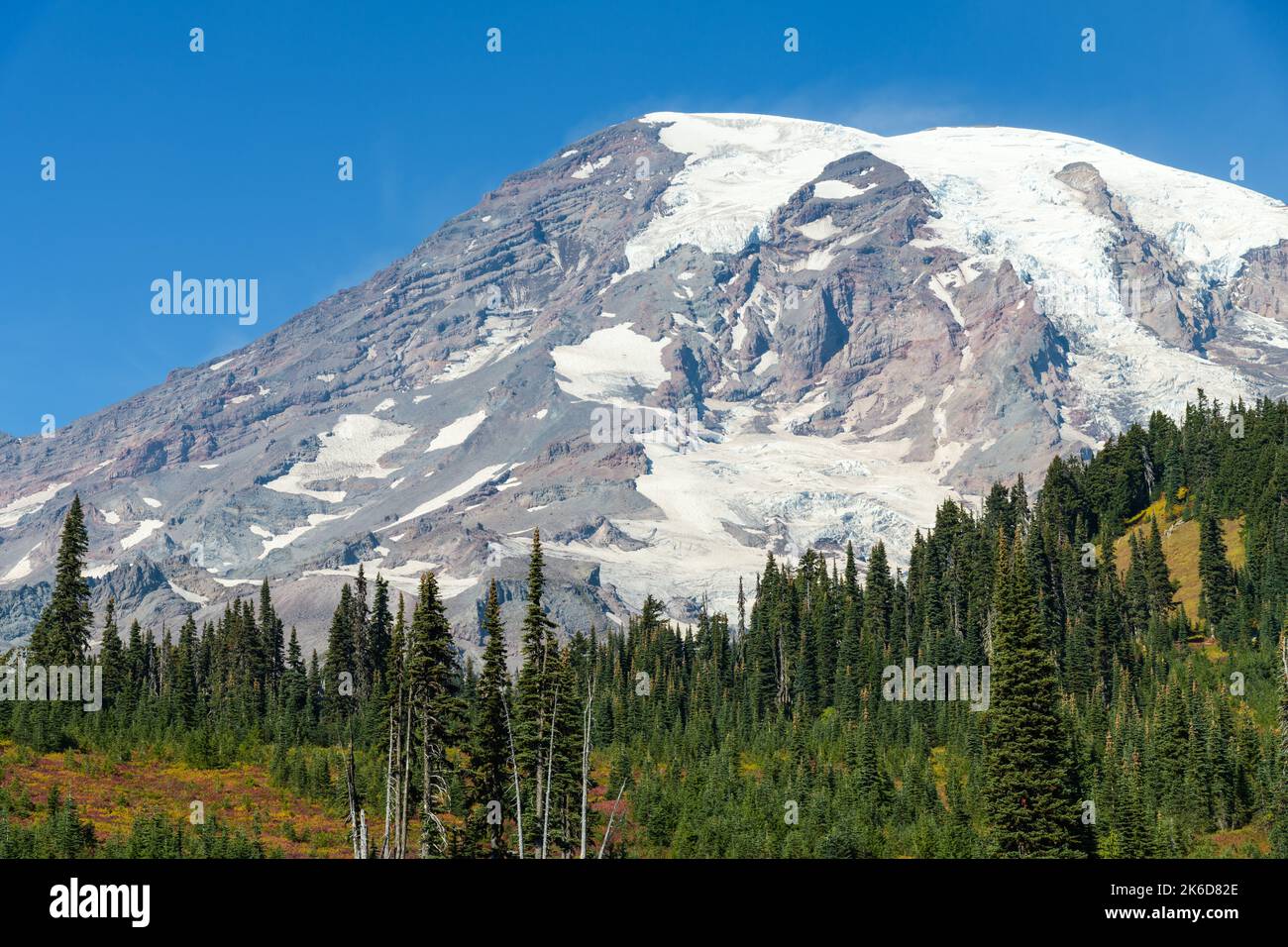 Volcanic Mount Rainier rises above the tree line in fall with receding glaciers.  The peak is majestic against blue sky with barren flanks Stock Photo