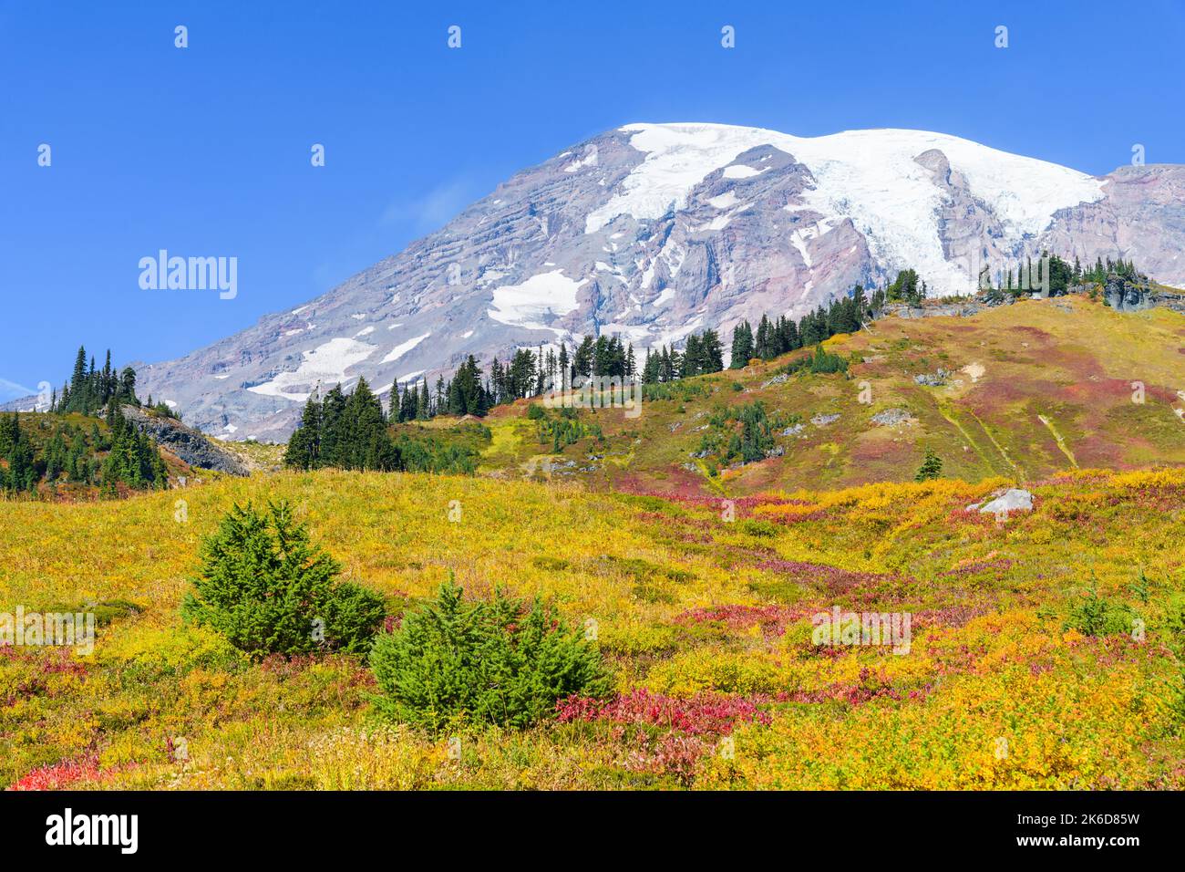 Fall colors on the meadow slopes of Mount Rainier National Park with ...