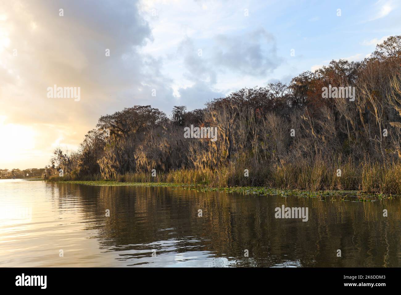 A beautiful view of a reflective lake and autumn trees during sunset ...