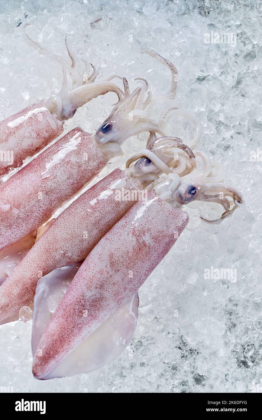The squids on the ice Stock Photo Alamy