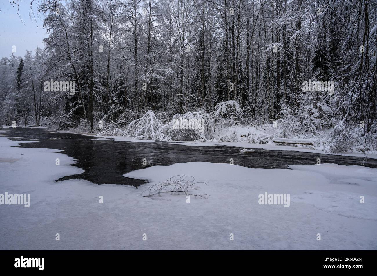 Beautiful snowy forest hi-res stock photography and images - Alamy