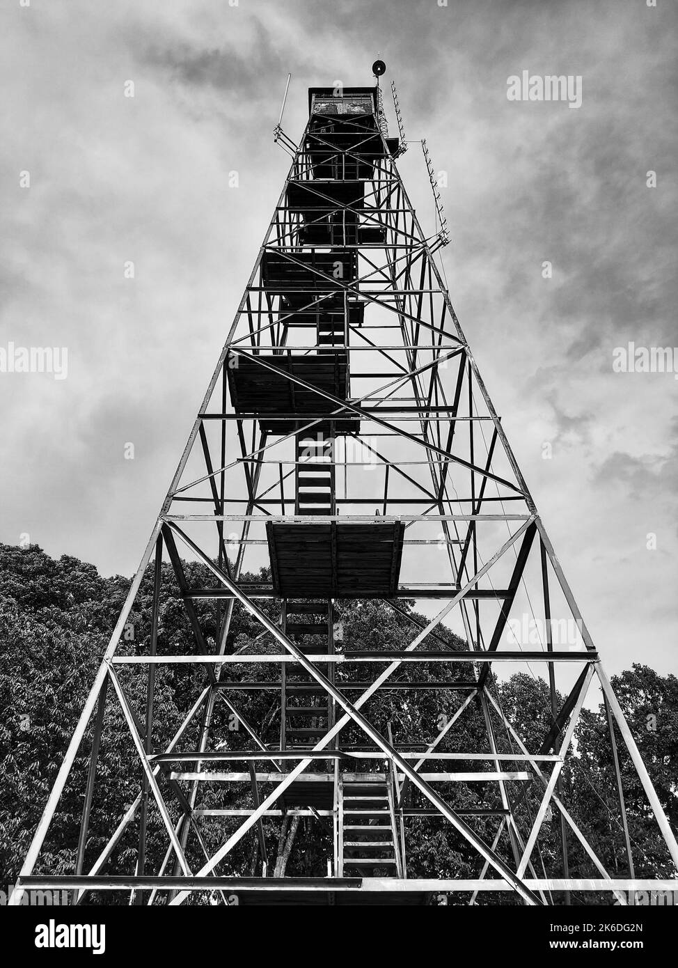 A vertical grayscale lowangle shot of a metal fire lookout tower Stock Photo Alamy