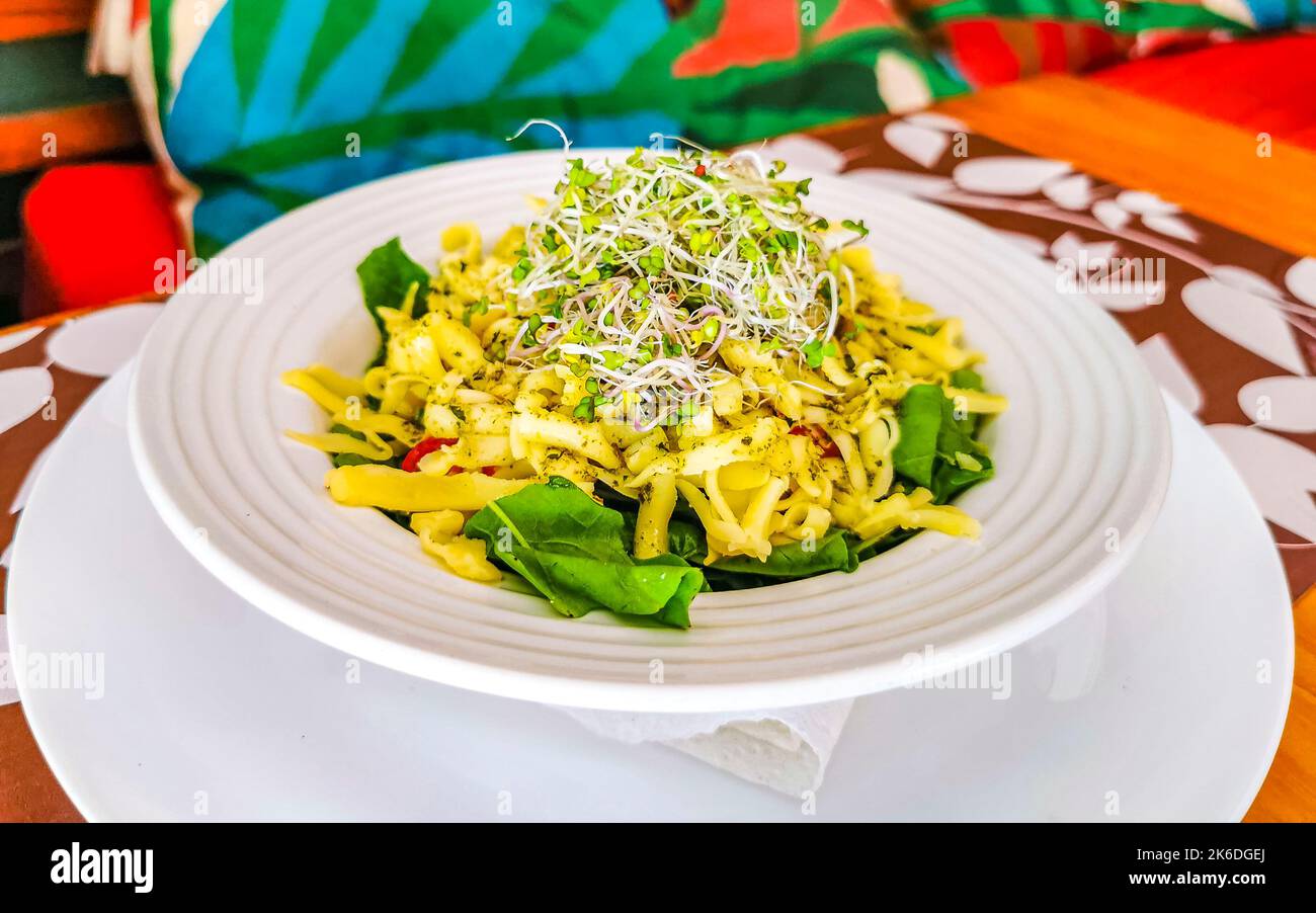 Typical Mexican dish vegetarian with vegetables beans rice nachos tacos