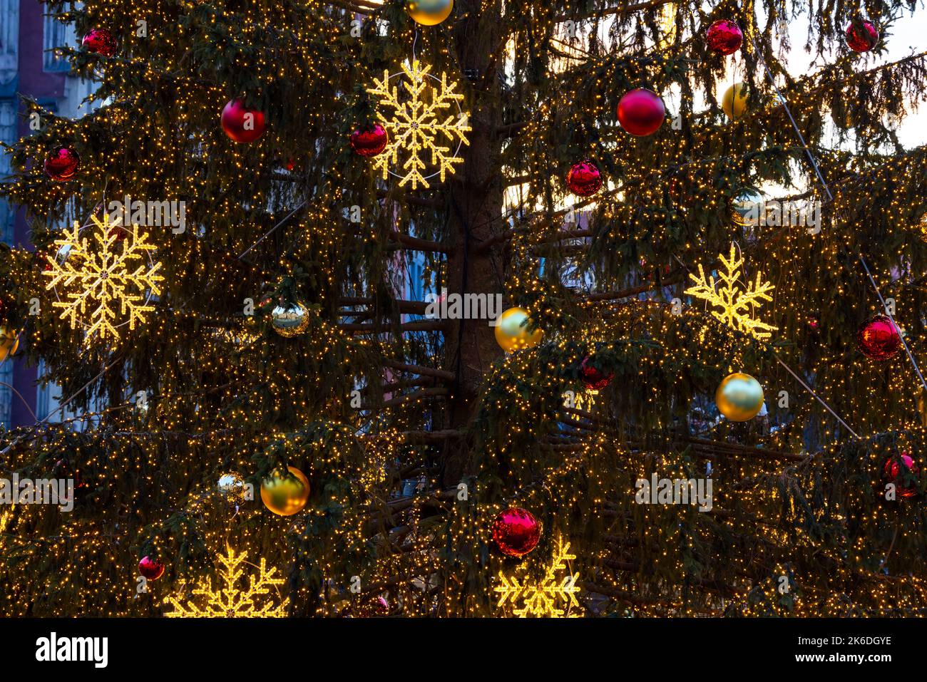 Christmas tree in Prague, Czech Republic Stock Photo Alamy