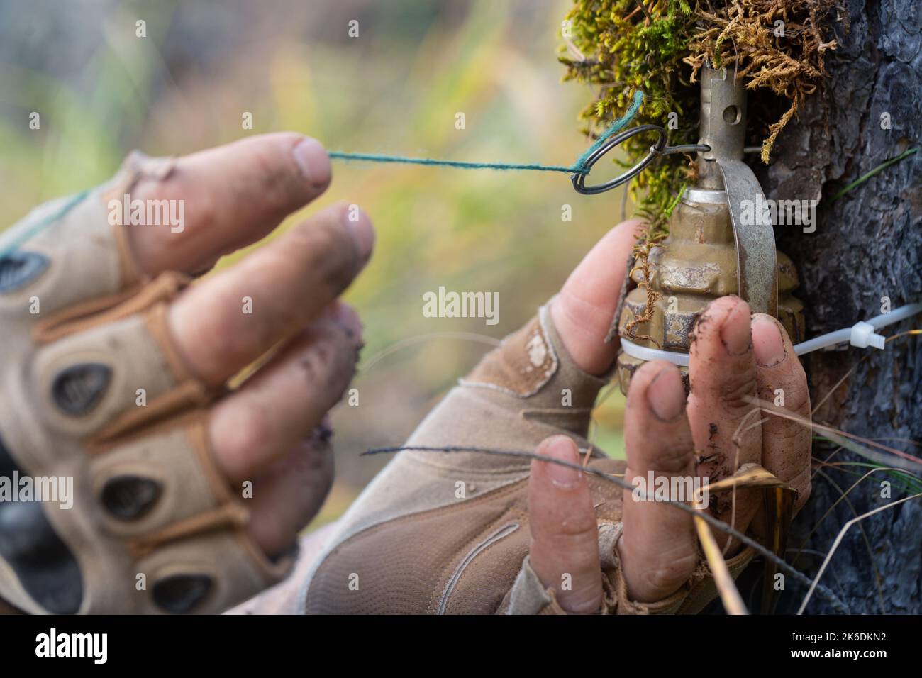 Trapwire hires stock photography and images Alamy