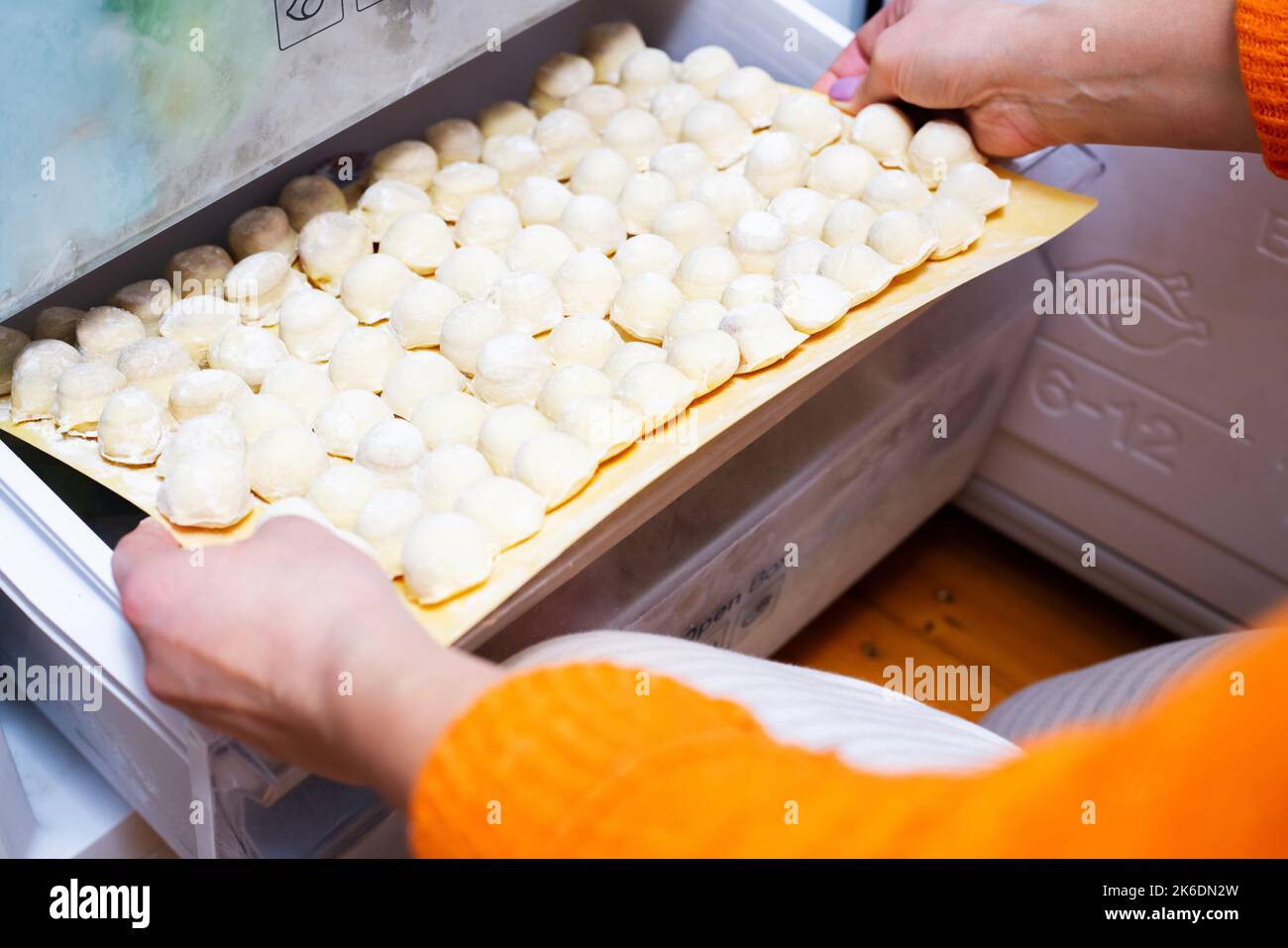 Housewife puts delicious homemade meat dumplings in the fridge Stock Photo