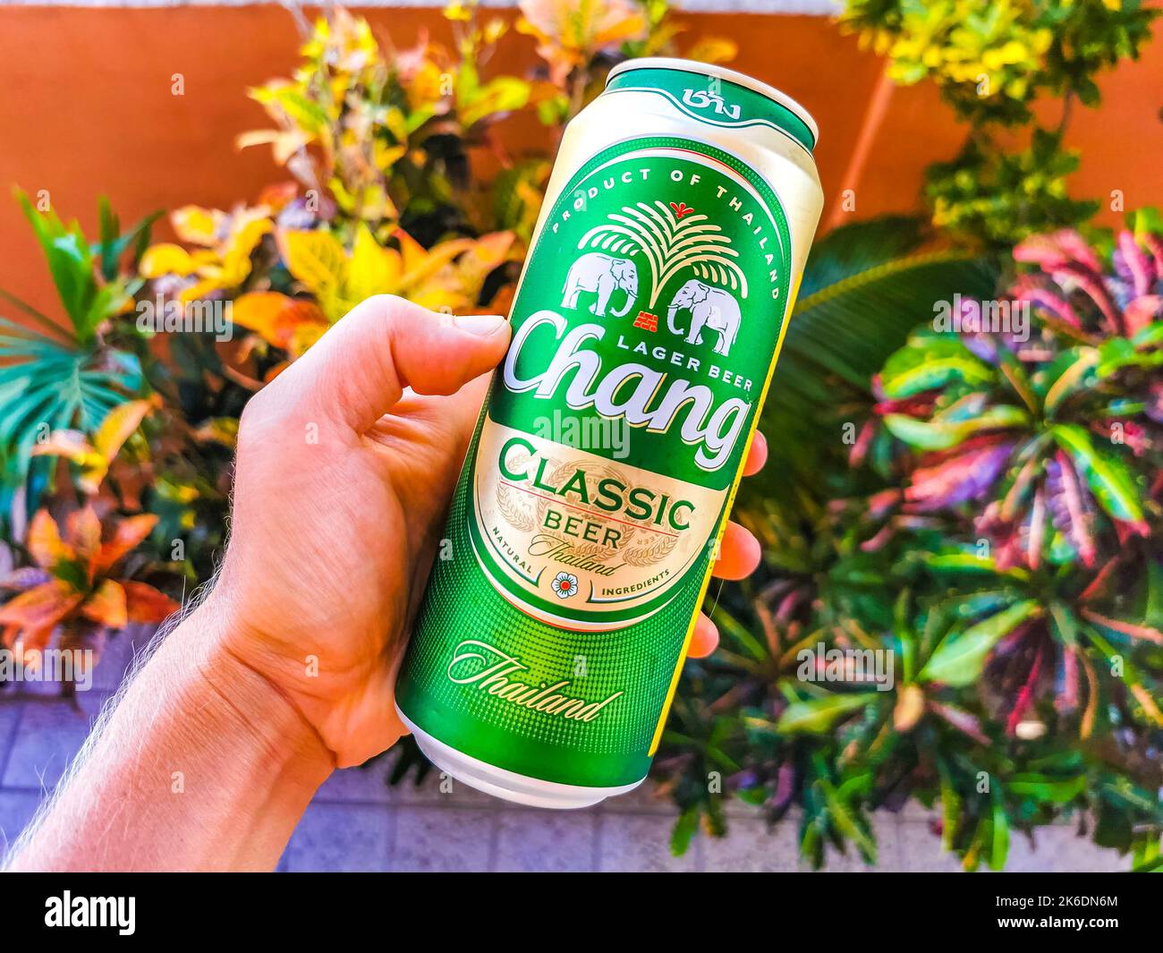 Thai Chang beer in hand in tropical paradise but in Playa del